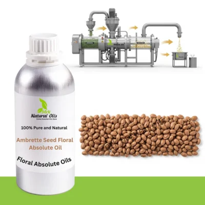 Ambrette Seed Floral Absolute Oil