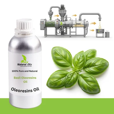 Basil OleoresinsOcimum Basillicum