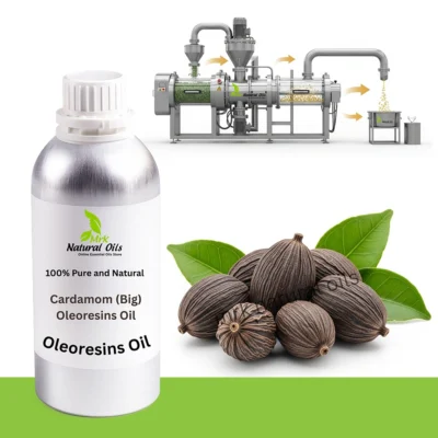 Cardamom (Big) OleoresinsElettaria Cardamomum