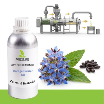 Borage Carrier and Base OilBorago Officinalis