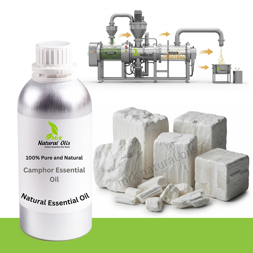 Camphor Essential Oil