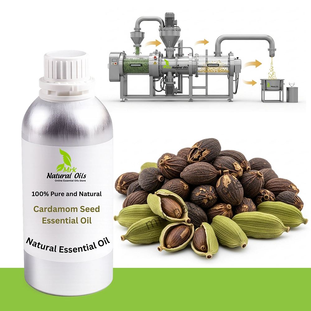 Cardamom-Seed-Essential-Oil
