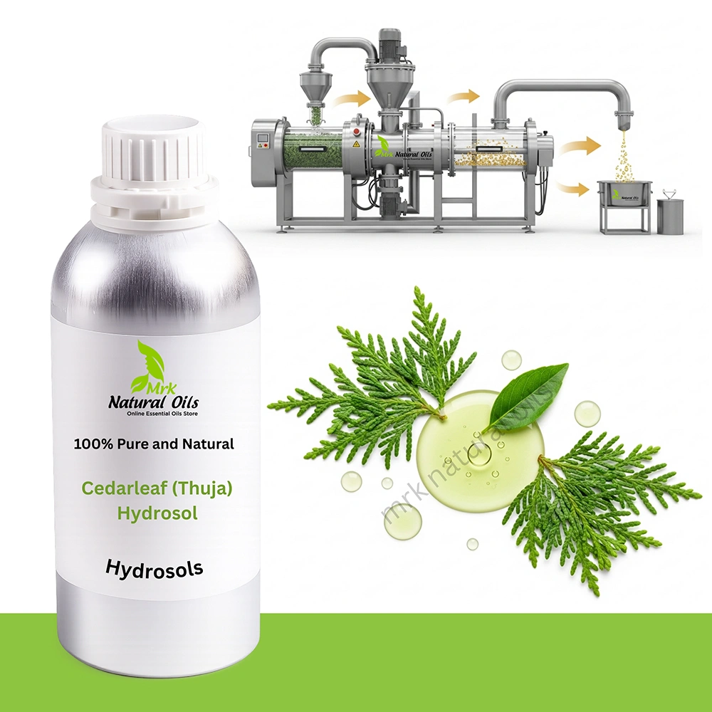 Cedarleaf (Thuja) Hydrosol