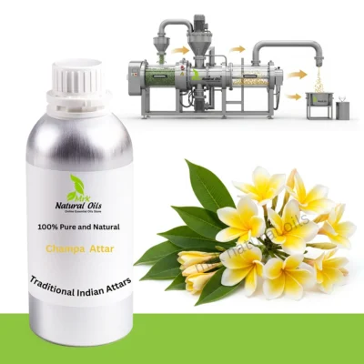 Champa AttarChampaca