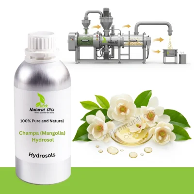 Champa (Mangolia) HydrosolMagnolia champaca