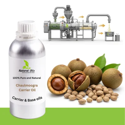 Chaulmoogra Carrier OilHydnocarpus Laurifolia