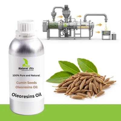 Cumin seed OleoresinsCuminum cyminum