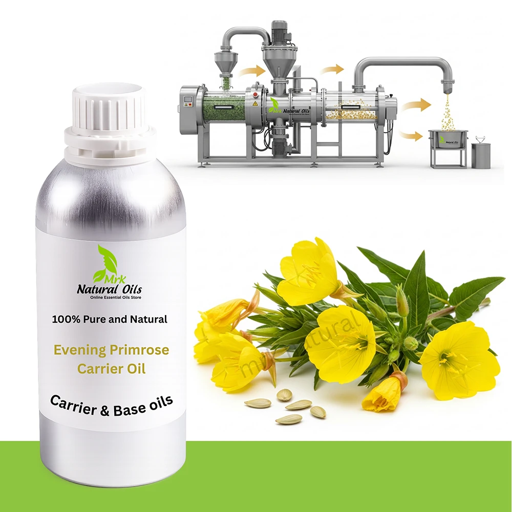 Evening Primrose Carrier Oil