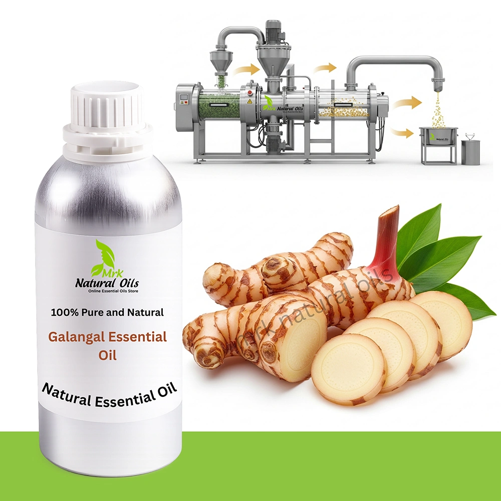 Galangal-Essential-Oil