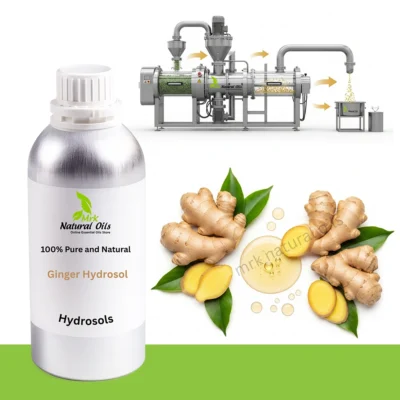 Ginger HydrosolZingiber Officinale