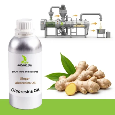 Ginger OleoresinsZingiber Officinalis