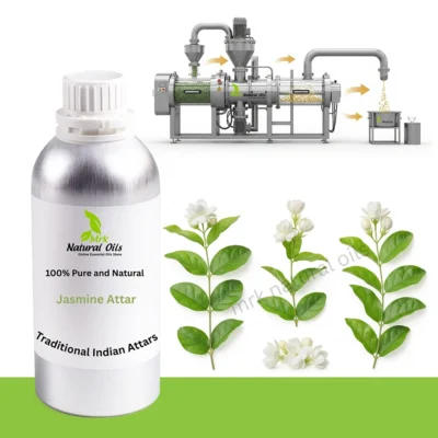 Jasmine AttarJasminum grandiflorum L