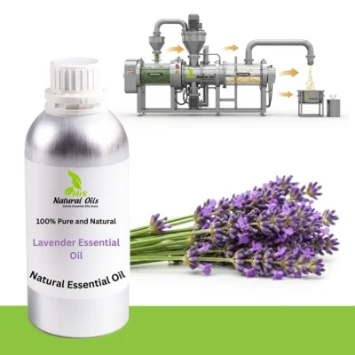 Lavender Essential Oil