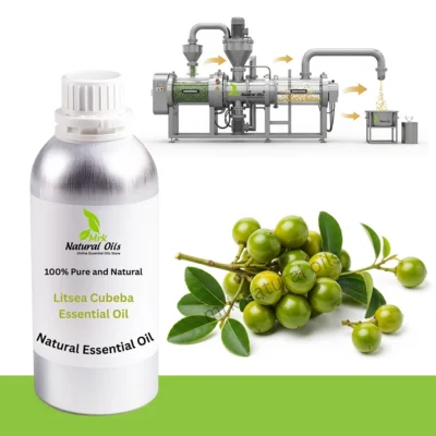 Litsea Cubeba Essential Oil