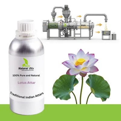 Lotus AttarNelumbo nucifera