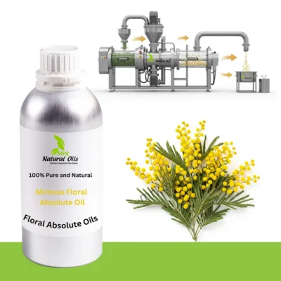 Mimosa Floral Absolute Oil