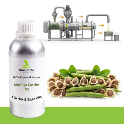 Moringa Carrier OilMoringa Oliefera