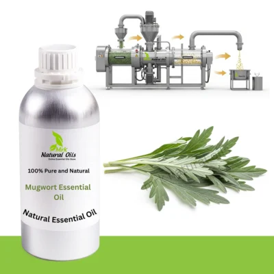 Mugwort Essential Oil