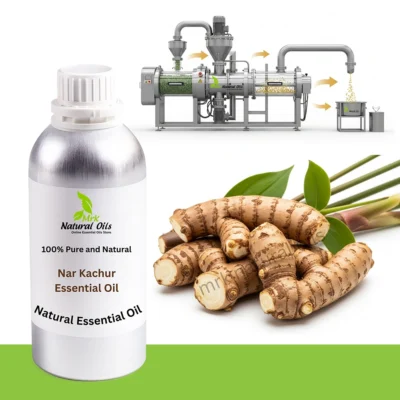 Nar kachur Essential Oil