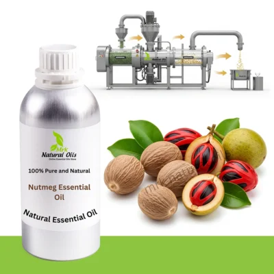 Nutmeg Essential Oil