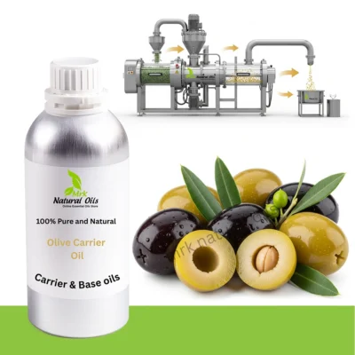 Olive Carrier Oil