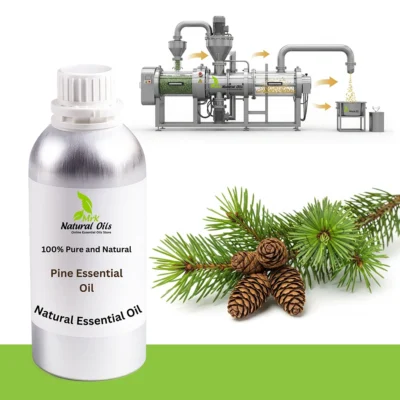 Pine Essential Oil