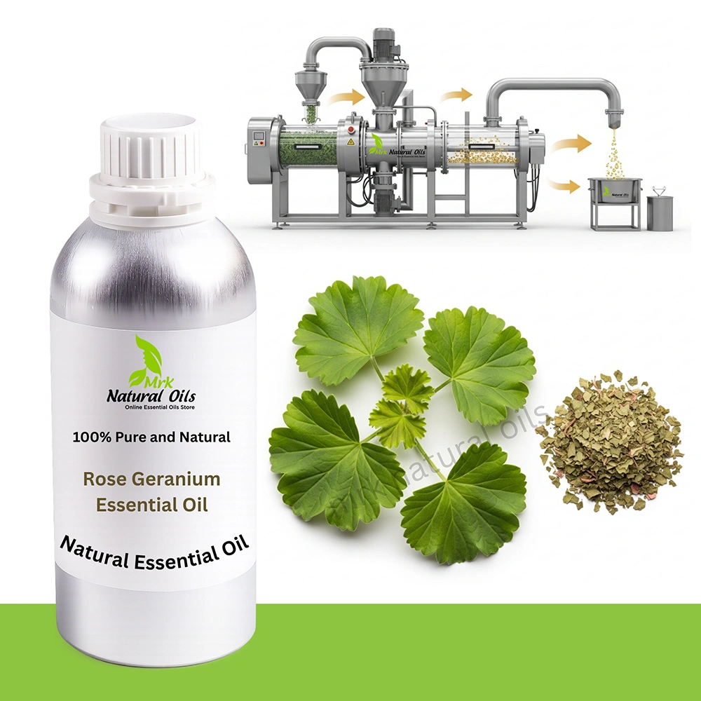 Rose-Geranium-Essential-Oil