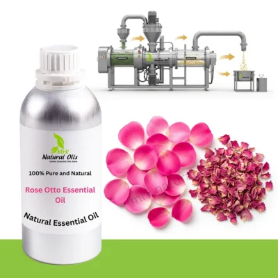 Rose Otto  Essential Oil
