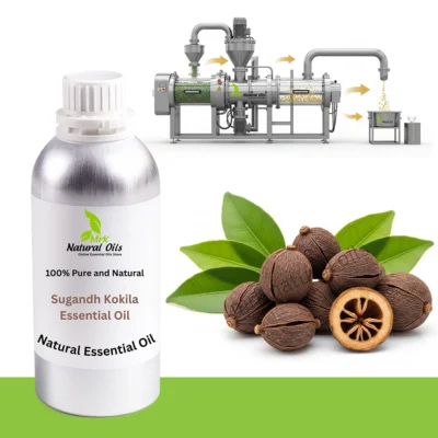 Sugandh Kokila Essential Oil