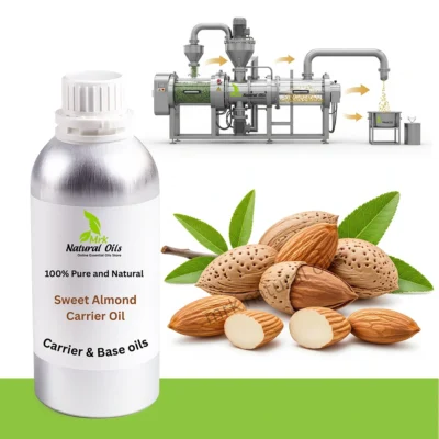 Sweet Almond Carrier Oil