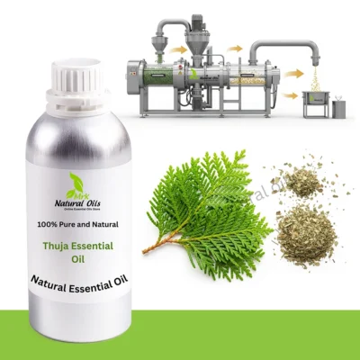 Thuja Essential Oil